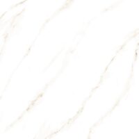 Bellacer RT 57088